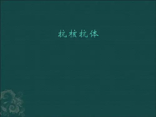 抗核抗体与临床意义