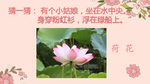 第11课 花儿寄深情(课件)-2021-2022学年美术一年级上册-人教版