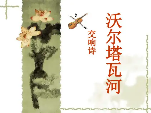 沃尔塔瓦河1资料