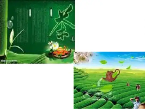公司策划