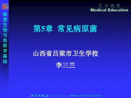 第5章常见病原菌