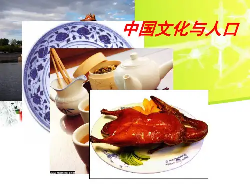 地域文化与人口之中国文化与人口