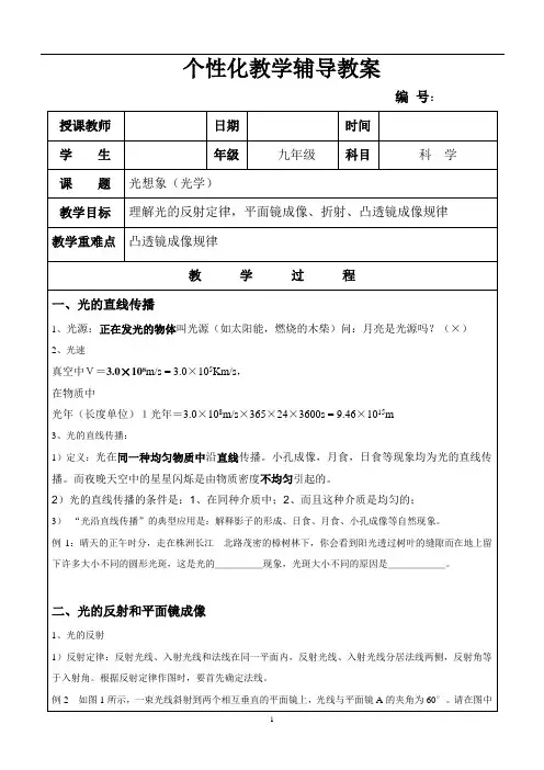 最新中考 光学专项复习--知识点,例题,针对练习