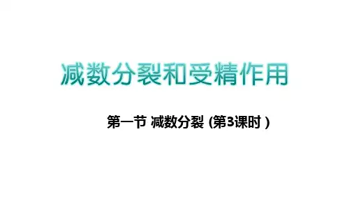211减数分裂第3课时-湖南省茶陵县第三中学高中生物必修二课件(共12张PPT)