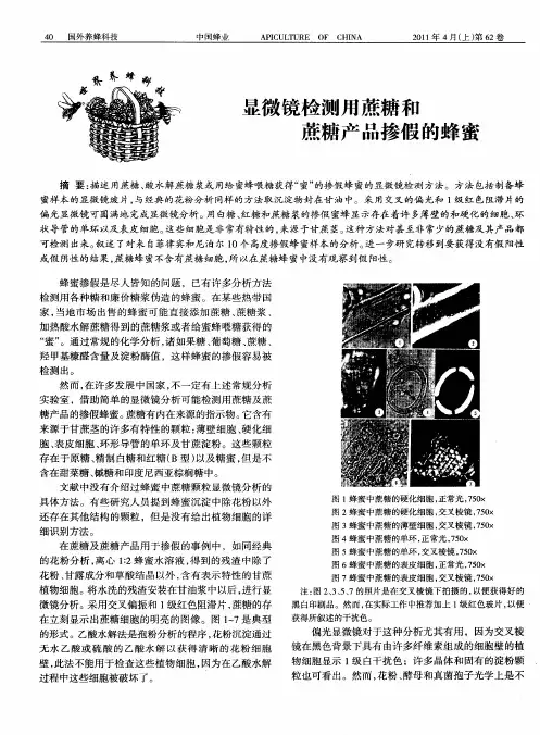 显微镜检测用蔗糖和蔗糖产品掺假的蜂蜜