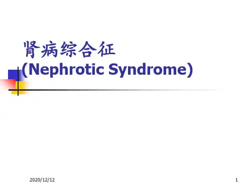 肾病综合征PPT ppt课件