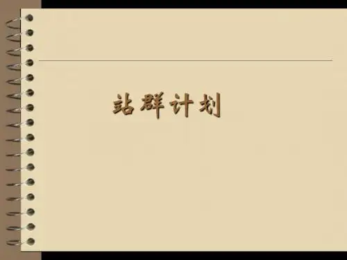 站群计划案例