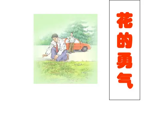 四年级下语文课件-花的勇气_人教新课标