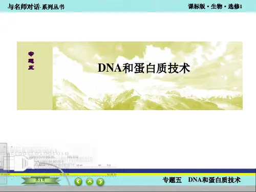 高中生物选修一专题五课题二ppt课件