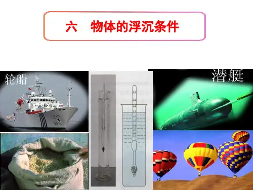 北师大物理八年级下册第8章6物体的浮沉条件 课件 (5)