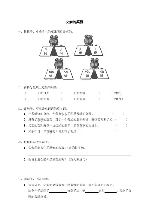 【2018年】人教版四年级下语文同步练习28父亲的菜园
