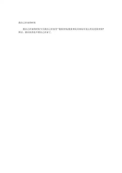 我自己在家的时侯