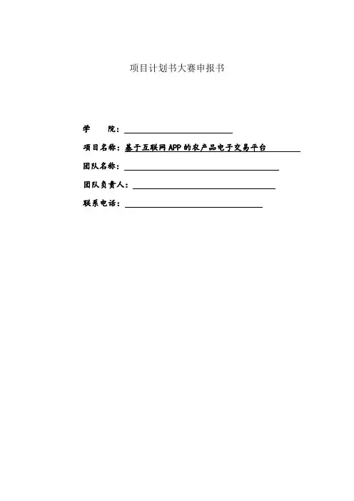创新创意项目计划书