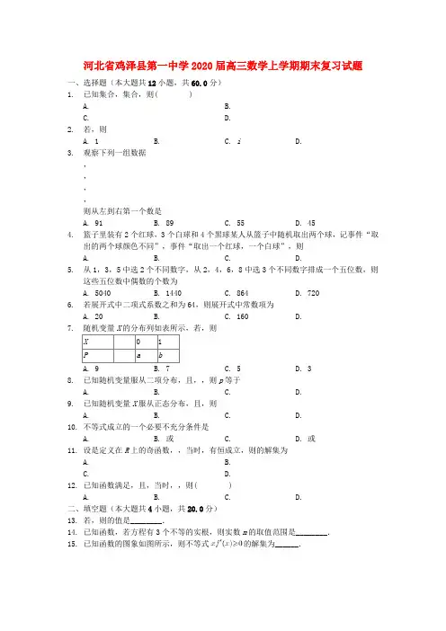 河北省鸡泽县第一中学2020届高三数学上学期期末复习试题