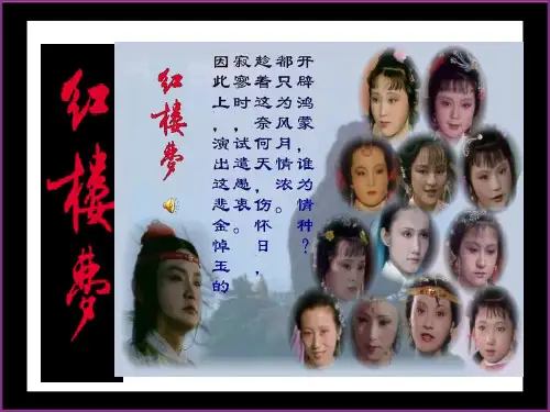 走进红楼梦课件