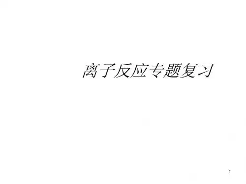 化学课件《离子反应专题复习》优秀ppt1 人教课标版