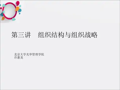 组织战略与组织结构