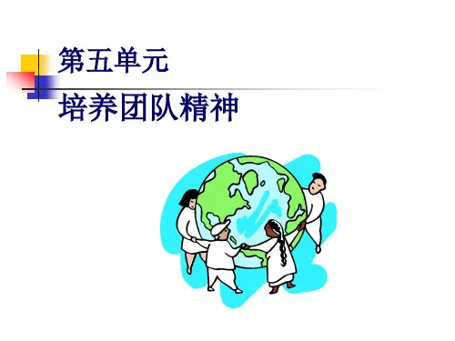 团队精神训练.ppt