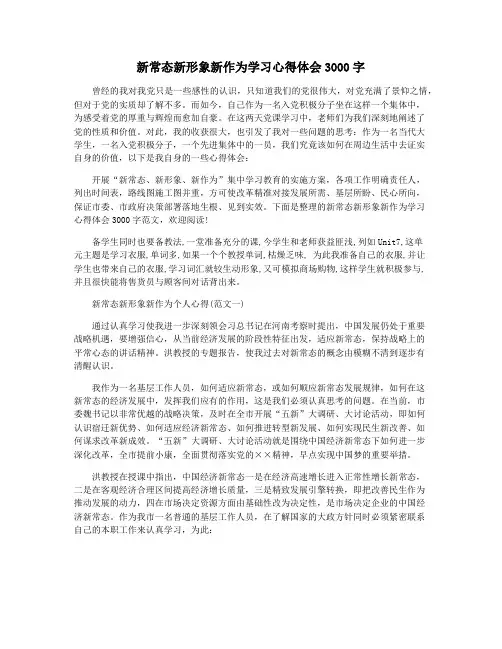 新常态新形象新作为学习心得体会3000字