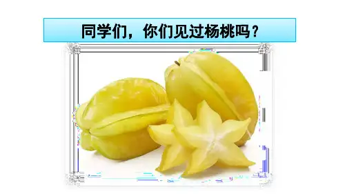 部编语文二年级下册  13 画杨桃