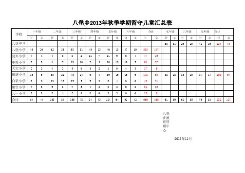 八堡乡2013秋留守儿童汇总表