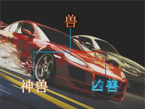 兽的划分