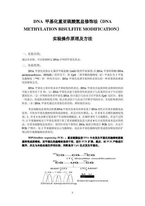 DNA甲基化实验操作原理及方法-Hxg