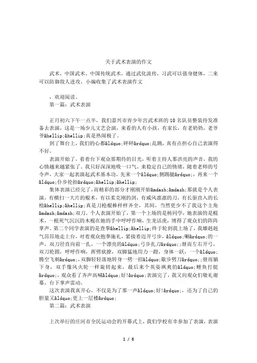 关于武术表演的作文