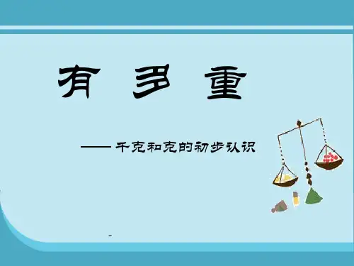 有多重24p-PPT课件 