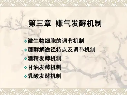第三章嫌气发酵机制