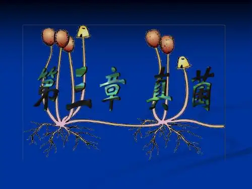 第三章真菌