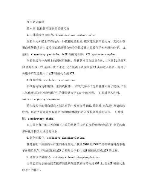 细生名词解释
