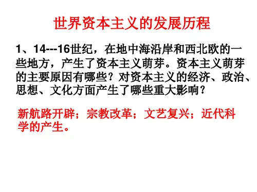 世界资本主义发展历程