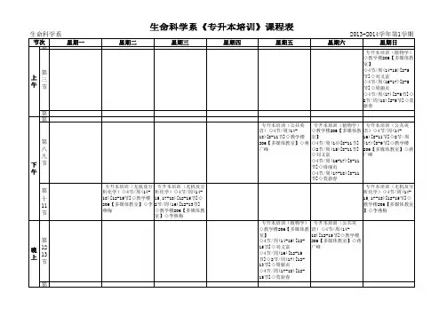专升本培训课表