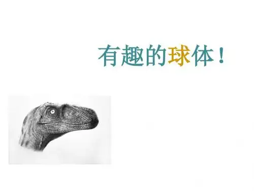 球体应用