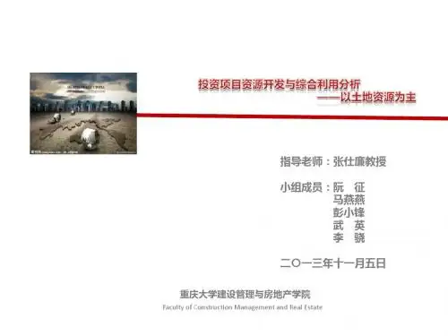 第11组投资项目资源开发及综合利用分析(以土地资源为主)