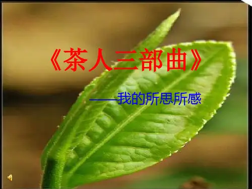 茶人三部曲》