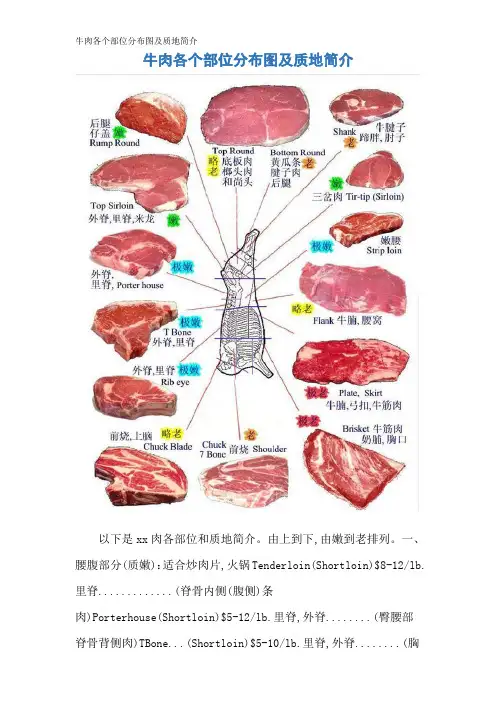 牛肉各个部位分布图及质地简介 2