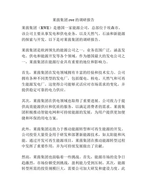 莱茵集团rwe的调研报告