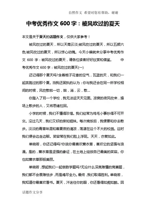 中考优秀作文600字：被风吹过的夏天