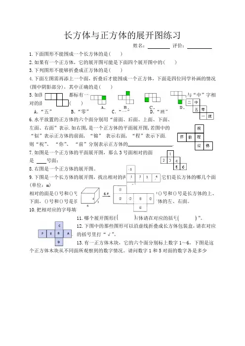 长方体和正方体的展开图