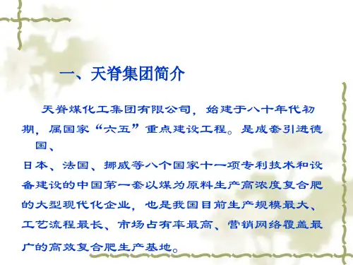苯胺生产技术介绍天脊煤化工集团一
