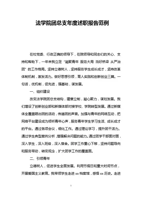 法学院团总支年度述职报告范例