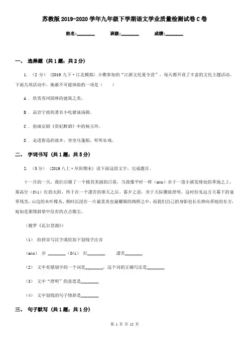 苏教版2019-2020学年九年级下学期语文学业质量检测试卷C卷