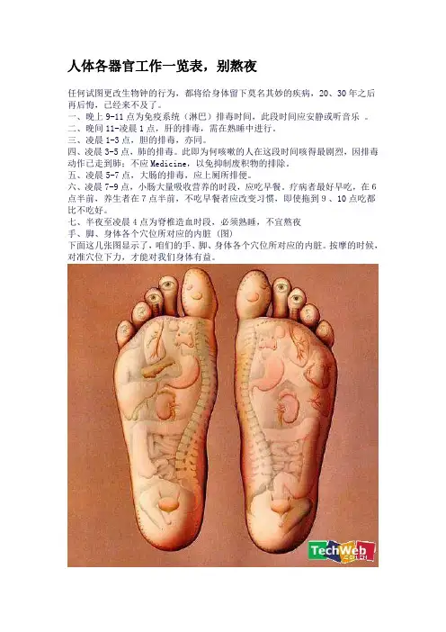 人体各器官工作一览表