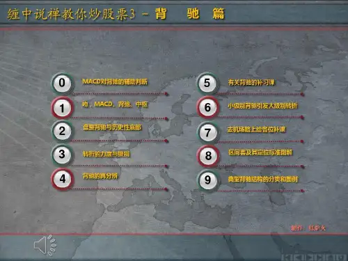 缠中说禅教你炒股3:背驰共24页
