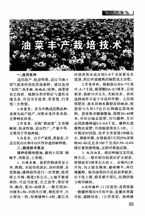 油菜丰产栽培技术