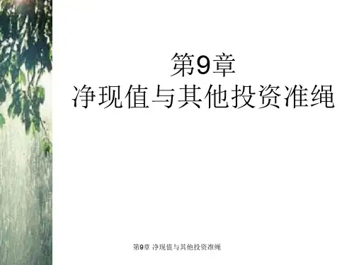 第9章 净现值与其他投资准绳