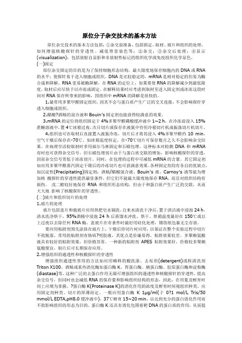 原位分子杂交技术的基本方法