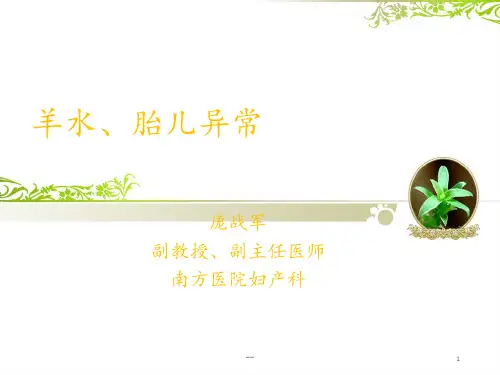 羊水胎儿异常PPT课件